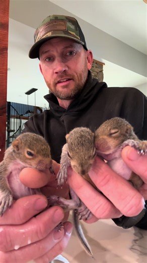 Caring for 3 Baby Squirrels at Our Farm