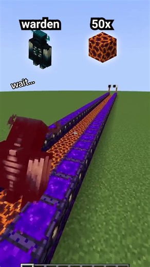 Unlocking Secrets of the Minecraft Warden