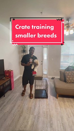 Crate Training Tips for Shih Tzu Puppies