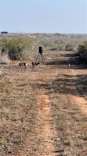 South Texas Firearms Training on Instagram: "Relaxation time. Fresh dry air. Warm breeze. Quiet times. Nuff said. Train to survive! Train to win! “Train How You’ll Fight!” -STFT- . . . #alice #alicetexas #alicetx #calallen #duvalcountytx"