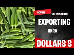 How To Make Profits From Okra Farming In Ghana | Watch & Learn Varieties International Market Want