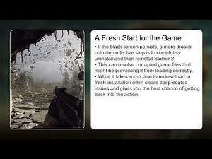 What Is Stalker 2 Xbox Series X/S Black Screen Fix