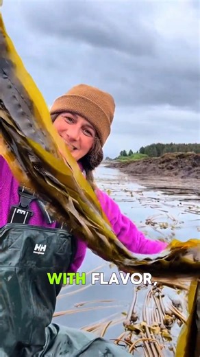 This Seaweed Grows 7 Inches a Day — And Locals Turn It Into Instruments #amazing #usa #foodmaking