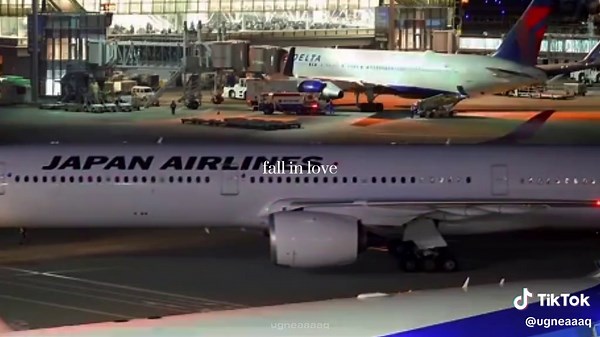 Enjoying Aviation Sounds: Tokyo Big Bird Experience