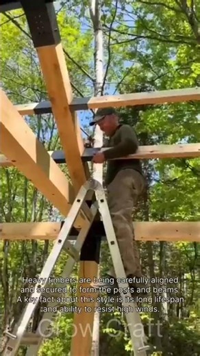 Erecting a Post and Beam Structure in the Woods