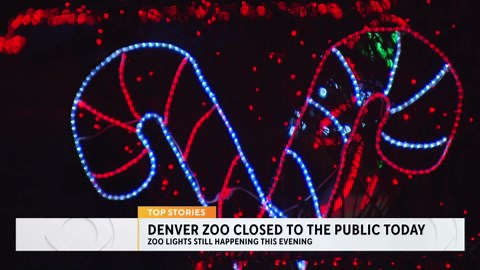 Denver Zoo closed Wednesday due to snow, will reopen Wednesday evening for Zoo Lights