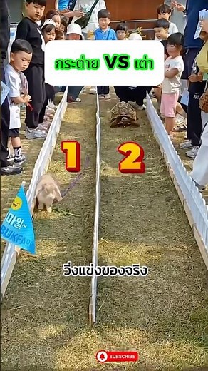 Running a race according to the story of the Tortoise and the Hare