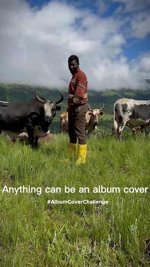 52K views · 1.4K reactions | Guess the song | Mr double d2 | Facebook