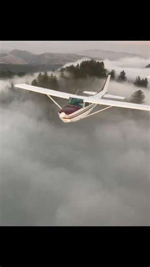 There’s trees in the clouds ☁️ 🌲☁️ #aviation #seeya #cockpitview #airplane #flying #pilot #shorts