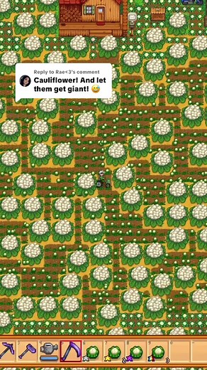 Growing Cauliflower in Stardew Valley: Tips and Tricks