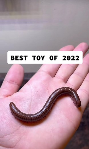 Top Toys for Kids in 2022