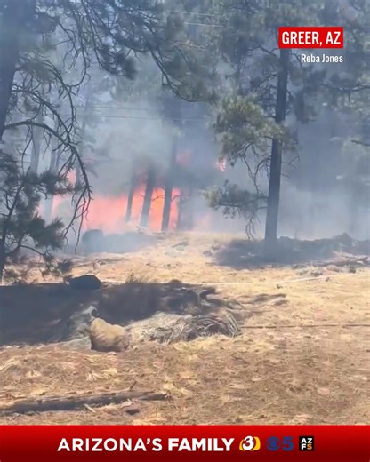 775K views · 7.9K reactions | Multiple fire crews and equipment have been requested to respond; however, forestry officials say aircraft are grounded due to high winds. Among those crews, are firefighters from the Eloy Fire District. It’s unclear how many buildings have been destroyed. Find the latest information at the LINK in the comments  #arizona #wildfire #destruction #northernaz #breaking #azfamily | azfamily 3TV CBS 5 | Facebook
