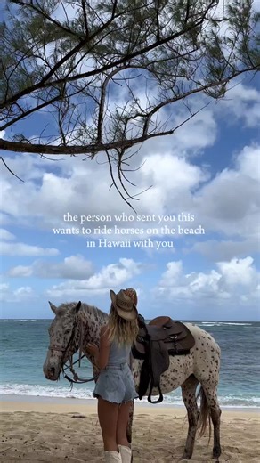 let's go horseback riding on the beach in Oahu! We are the only location in Oahu that walks on the beach! visit our website oahuhorsebackrides.com and learn more about this special experience! #fyp #thingstodoinoahu #viral #trailrides #vacation #travel #ocean #beach #horse #horsebackriding #familyfun #romanticgetaway