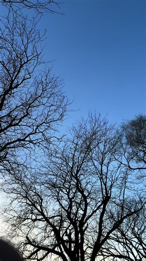 I really love what I do #fyp #nativetiktok #fypシ #quillwork #beadwork | Beading