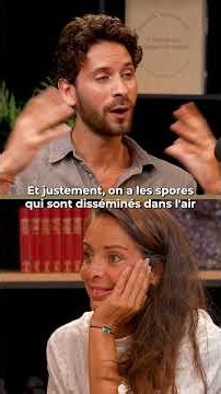 Vous ne regarderez plus les champignons de la même façon