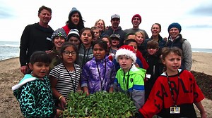 Ocean Guardian School | Office of National Marine Sanctuaries