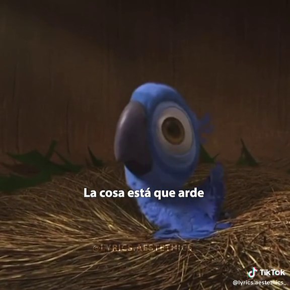 Río: La Magia del Carnaval y la Música