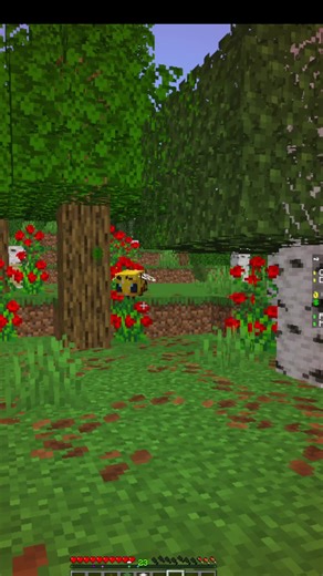 Um servidor top para jogar, vem experimentar esse server de Minecraft survival, java e bedrock podem jogar juntos, vários tipos de conta entram. Servidor na 1.21.7, com novos mobs e biomas. Não precisa baixar mods para jogar, o servidor é com plugins, online 24 horas, host paga brasileira. Servidor com empregos, profissão, sistema de torneios, liga de clãs e muito mais. O lugar certo para fazer seus projetos de minecraft e ter eles seguros, sistema de proteção de terrenos, proteção de pvp no mun