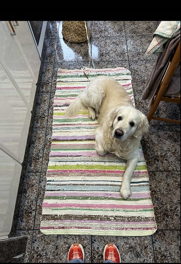 How to Craft Unique Rag Rugs from Everyday Fabrics