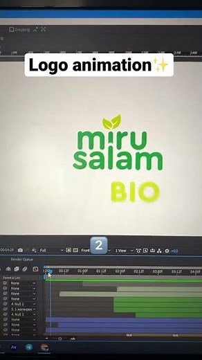 Logo animation / After effects