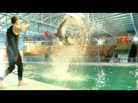 The Dolphin Resort Bahrain