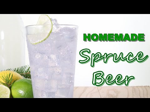 Homemade Spruce Beer Recipe