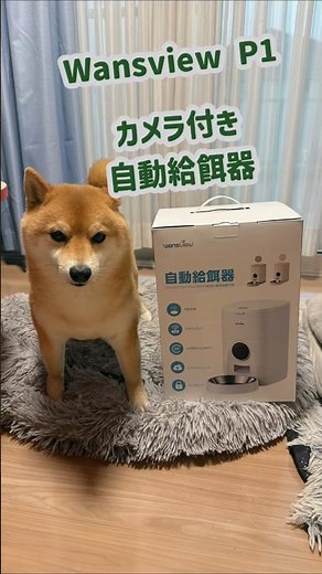 とっても便利な ペットフードディスペンサー「Wansview P1_カメラ付き_自動給餌器」 を紹介するわん🐾