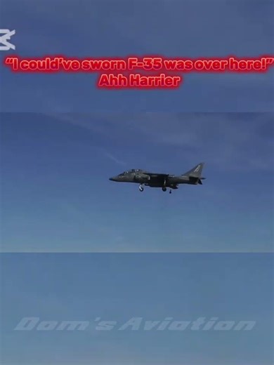 “If I was a Harrier WHERE would I be?”Ahh F-35#meme#f35#harrier#shorts#fyp