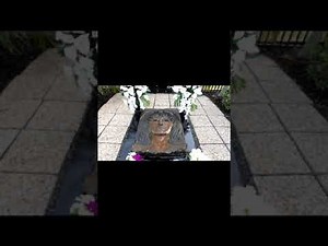 Spirit Box With Selena Quintanilla/ Pérez.