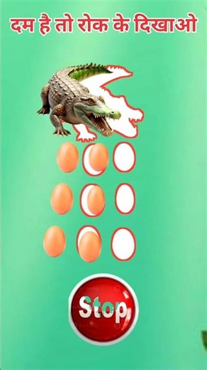 🐊 Crocodile & Crocodile Egg Circle Challenge 🥚🔥 | Can You Match It? #Shorts