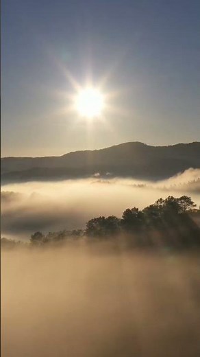 Beautiful Relaxing Music, Peaceful Soothing Instrumental Music, winter Wildlife" by Tim Janis