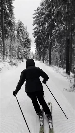 Understanding Ski Therapy Benefits for Mental Health
