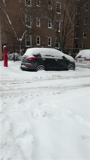 WOW🤯11.4 INCHES ❄️🥶‼️WINTER SNOW STORM FERN IN NEW YORK CITY #shorts #nyc #winter #snow #viral