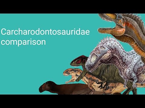 Carcharodontosauridae size comparison