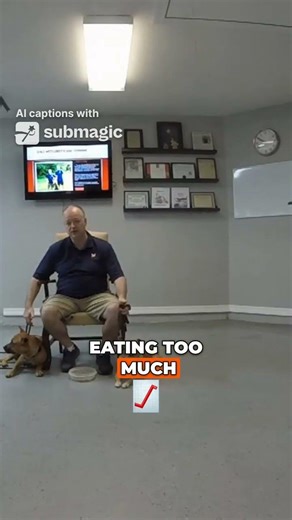 Dogs Are Very Jealous