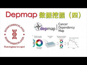 【生信进阶之路｜资源篇 05】Depmap 数据库挖掘之小分子药物筛选