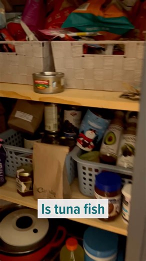 9.8K views · 218 reactions | Tuna isn’t just tasty—it’s a powerhouse protein that supports heart and brain health 易❤️ From omega-3s to vitamin D, this humble pantry staple has great benefits. Pair it with melty cheese and whole grain bread and you’ve got a comfort food upgrade   Sign up for more healthy recipe inspo in our Eat Well newsletter: https://bit.ly/4cT8cwb | Healthline | Facebook