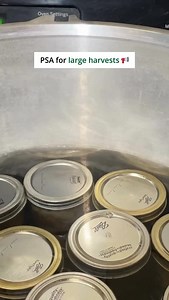 PSA for all you canners with big harvests: Did you know you can DOUBLE-STACK half-pint jars in most pressure canners? All you need is a second rack—get twice the jars done in the same batch and make the most of your time and harvest! Work smarter, not harder this canning season. Comment "CANNING DEETS" below if you want details about our complete, step-by-step canning course! | Food Prep Guide
