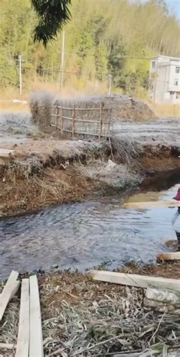 Transforming Logs into a Stunning Bridge