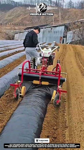 Farm People Covering Soil Beds Using Mulch Machine During Planting Action