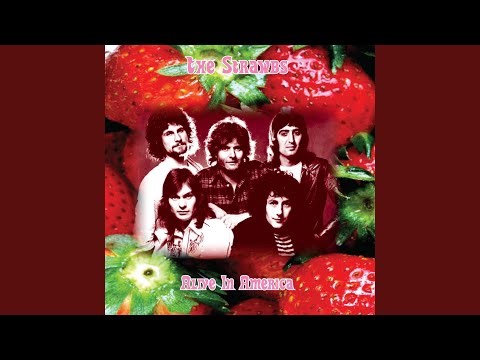 Simple Visions (Remastered 2026)