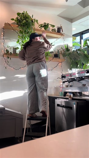 Water my plants with me while we talk about everything to be grateful for 💌 #SlowDownSunday #BlueDoorCoffee #SundayAtBlueDoor #CoffeeShopCalm #SipSlowStayAwhile @Blue Door Coffee Company