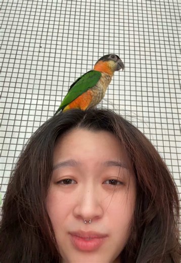 mekap inspired by my bird 🦜😁🩷🙏🏻