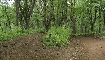 [HD] 西村京太郎サスペンス 鉄道捜査官 富士河口湖・同窓会ツアー連続殺人！ 231003