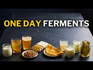 10 Easiest Fermented Foods You Can Make in 24 Hours (No Experience Needed)