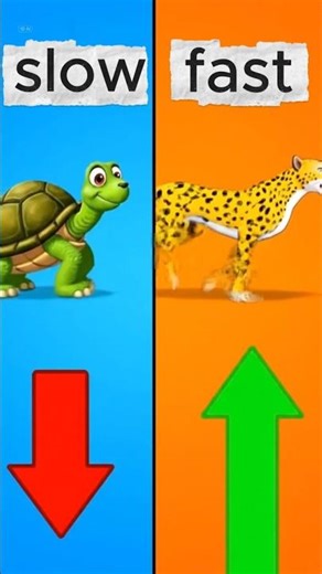 Speed Challenge: Fast or Slow? 🐆🐢 #KidsLearning #Opposites #LearnTogether