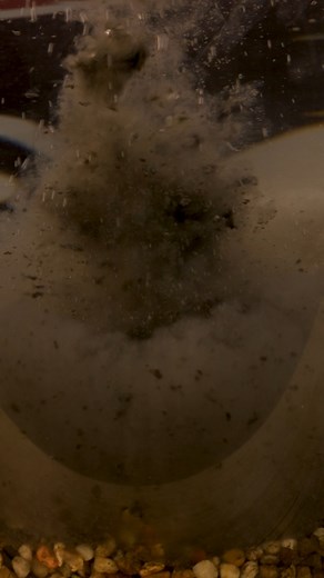 🚨 THERE IT IS!!! 🦞 CRAYFISH HYDRO SPOD SYRUP – OUT NOW! It is with great pleasure to announce our most eagerly anticipated Hydro Spod Syrup ever is now available on the DNA Baits website! After first working on this liquid many, many months ago, we are delighted to see it added to our hugely popular Crayfish Range, which already features so many of our most beloved products. The Crayfish Hydro Spod Syrup is based on our incredible, remodified Hydro Wheat liquid, with a few added extras. This p