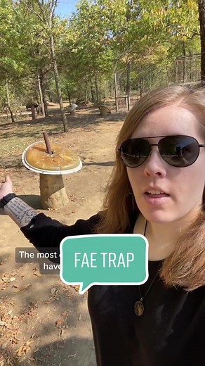 Fae Trap Explained: What Happens If You Touch a Fae Trap?