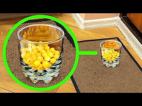 41 Ways to Protect Yourself from Burglars in Seconds