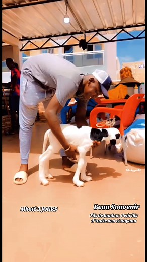 Mboté PRO MAX❤️ | Chériif Ousseynou LaAye